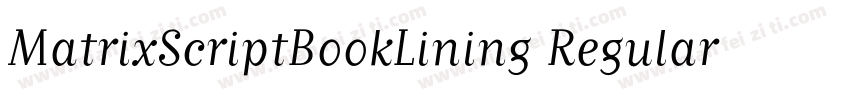 MatrixScriptBookLining Regular字体转换